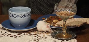 Mäusemahlzeit